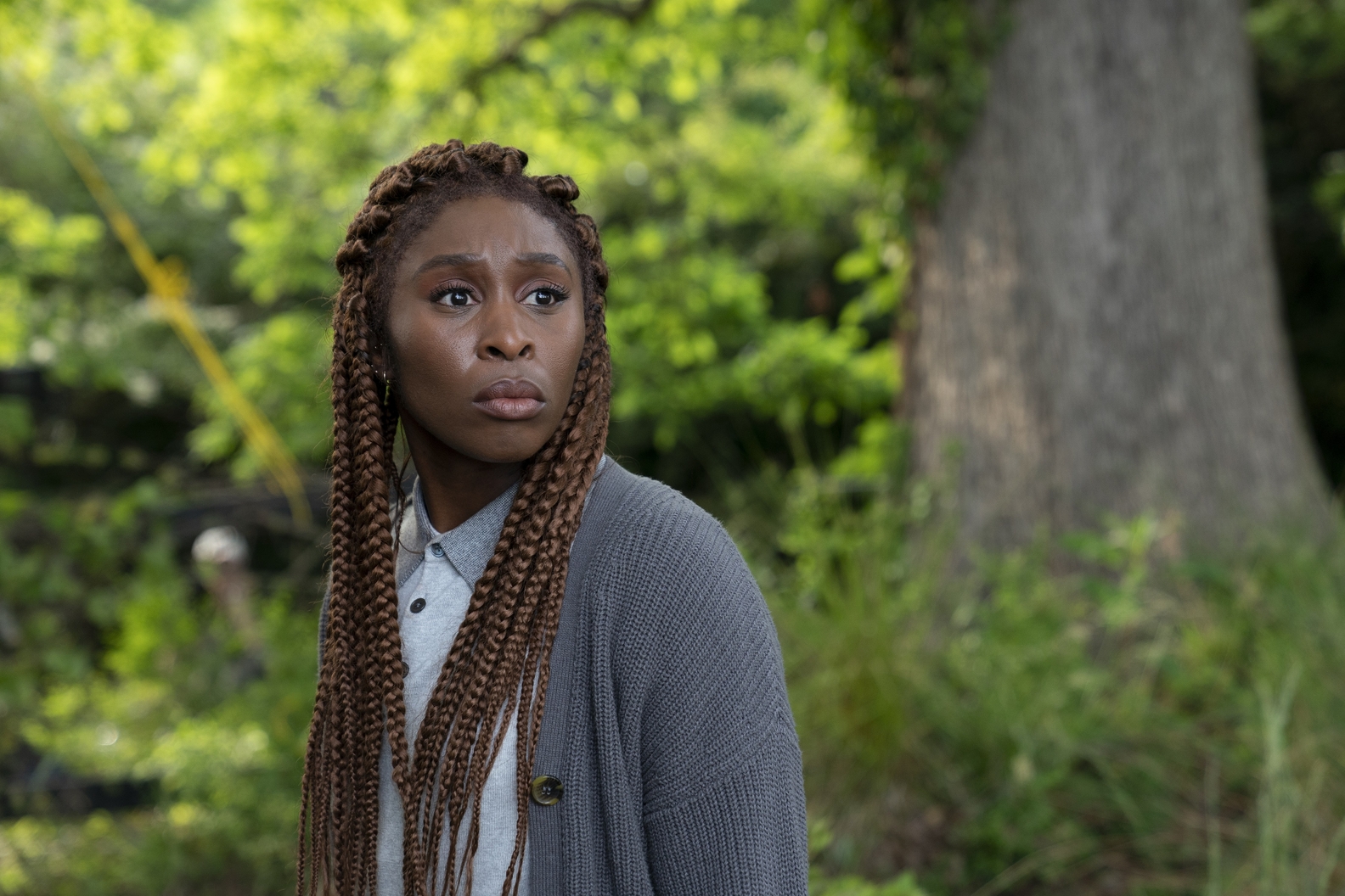 Cynthia Erivo Pressroom